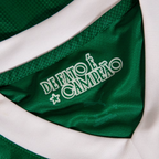 Camisa Puma Palmeiras 2025/26 I Jogador