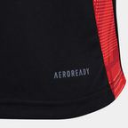 Camisa Adidas Internacional 2025/26 Treino