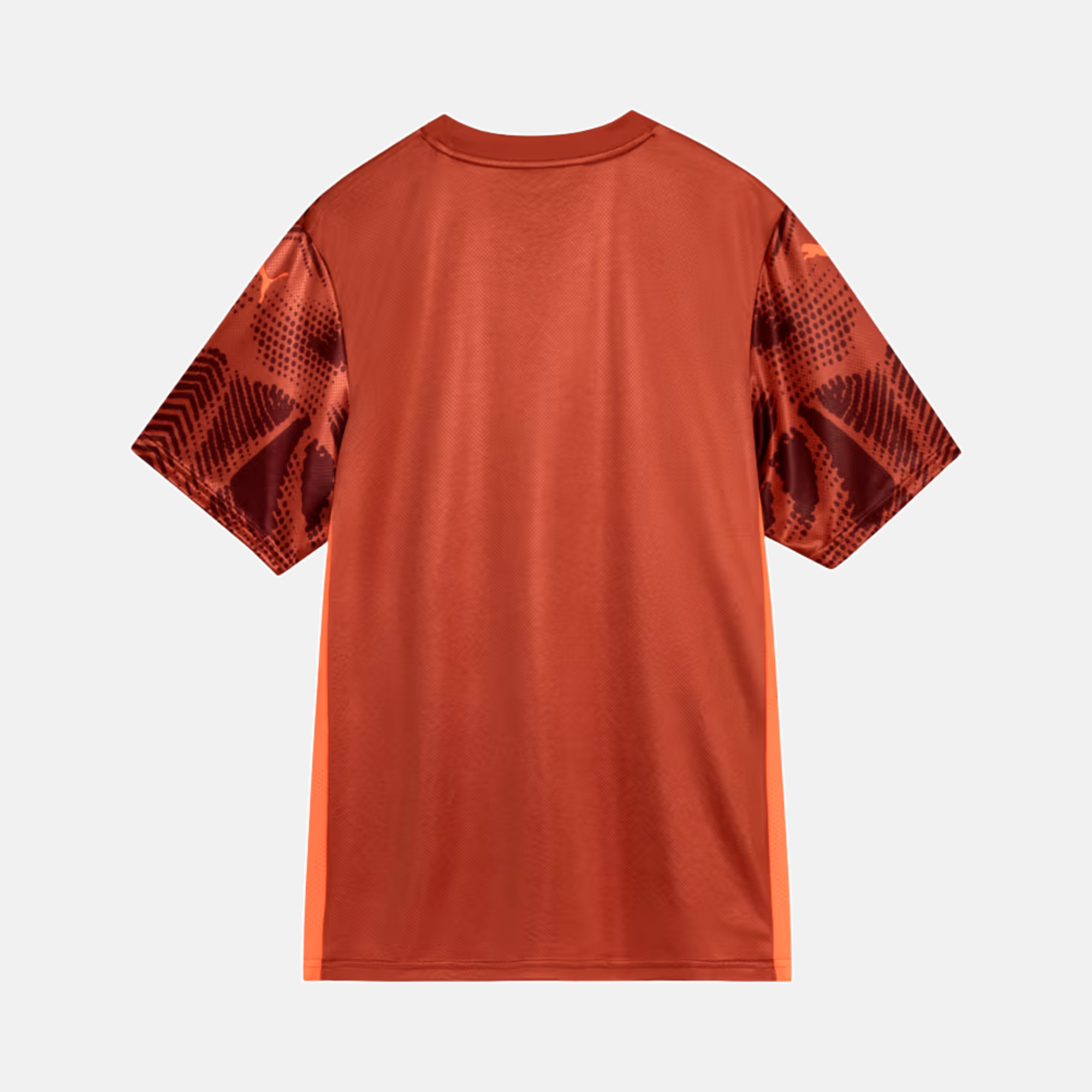 Camisa Goleiro Palmeiras 2025/26 II – Torcedor