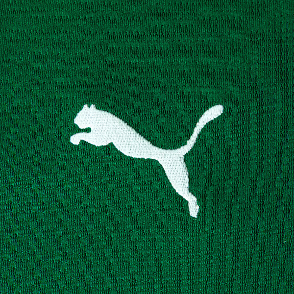 Conjunto Infantil Palmeiras 2026/27 I