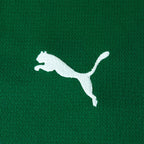 Conjunto Infantil Palmeiras 2026/27 I